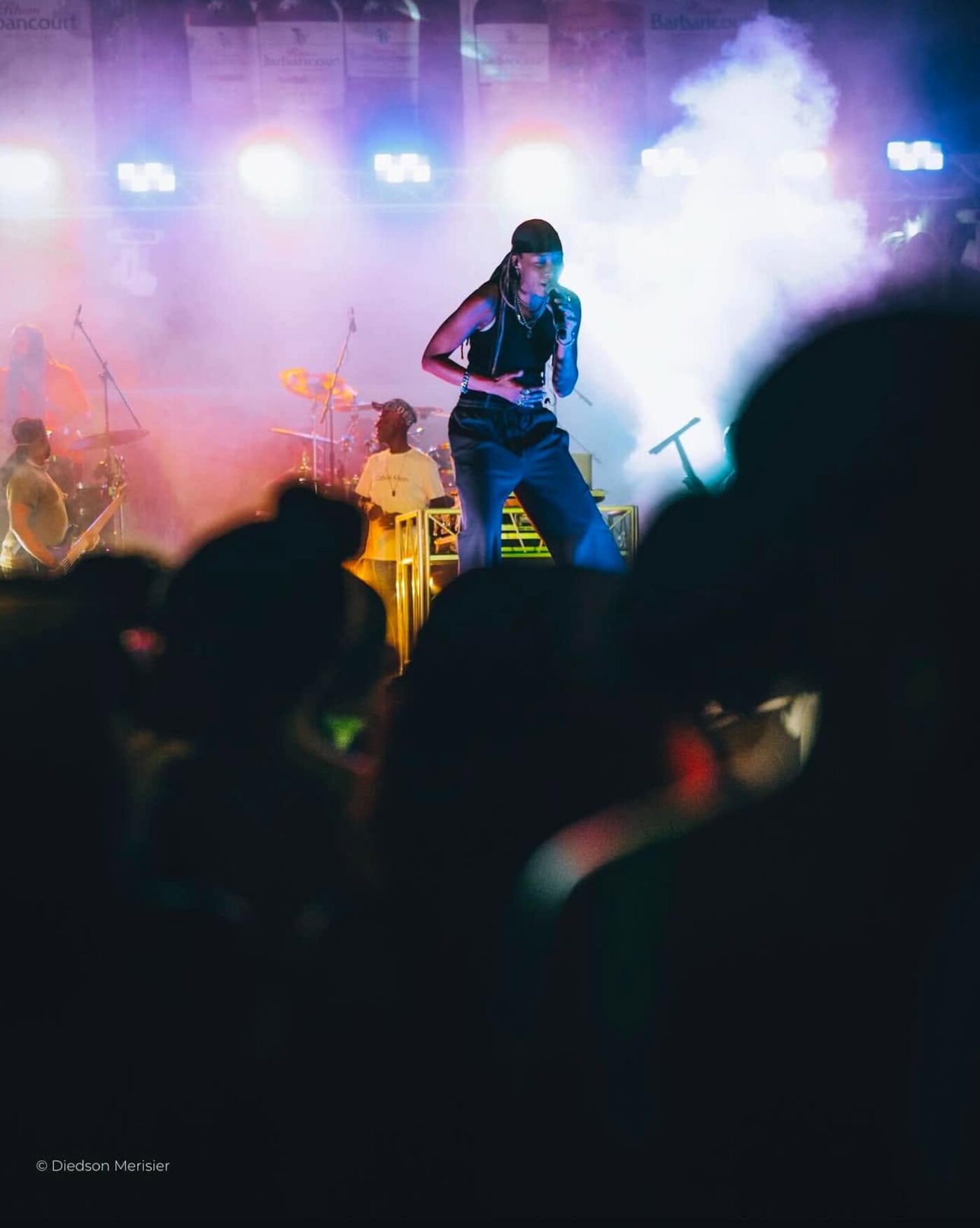 Crowd and performer in the haze